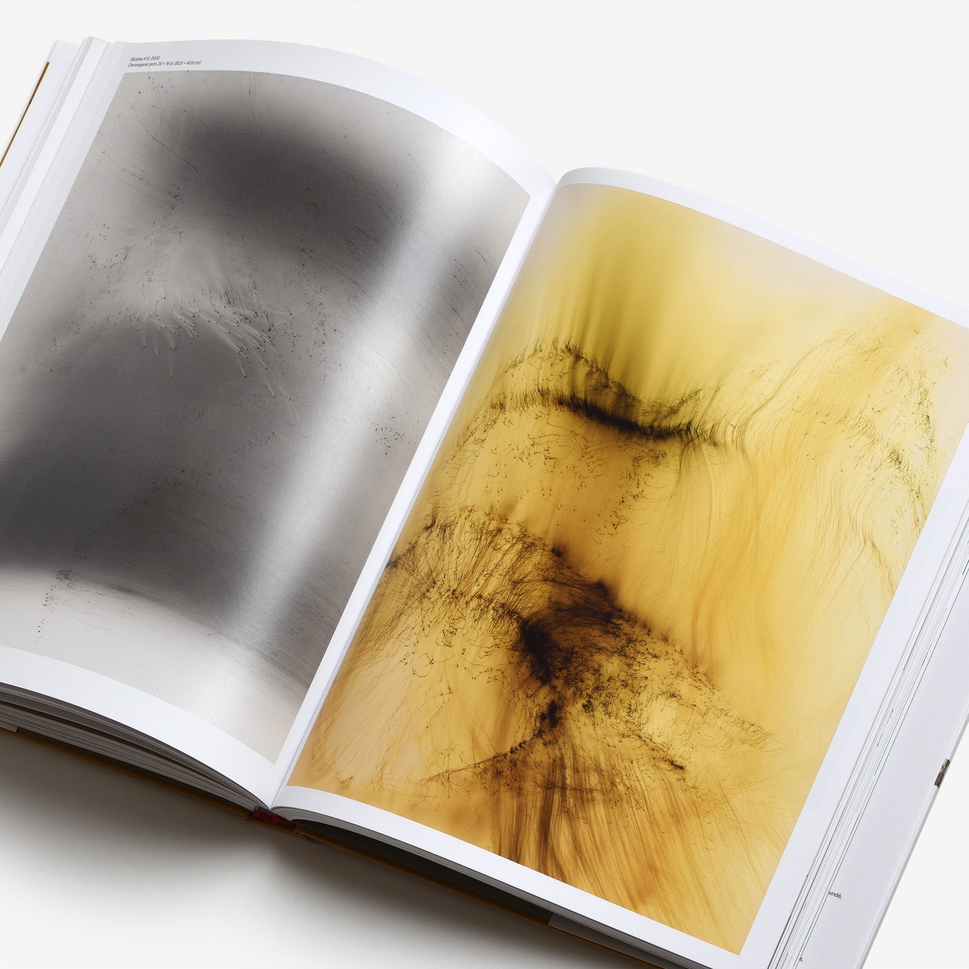 Wolfgang Tillmans: To look without fear