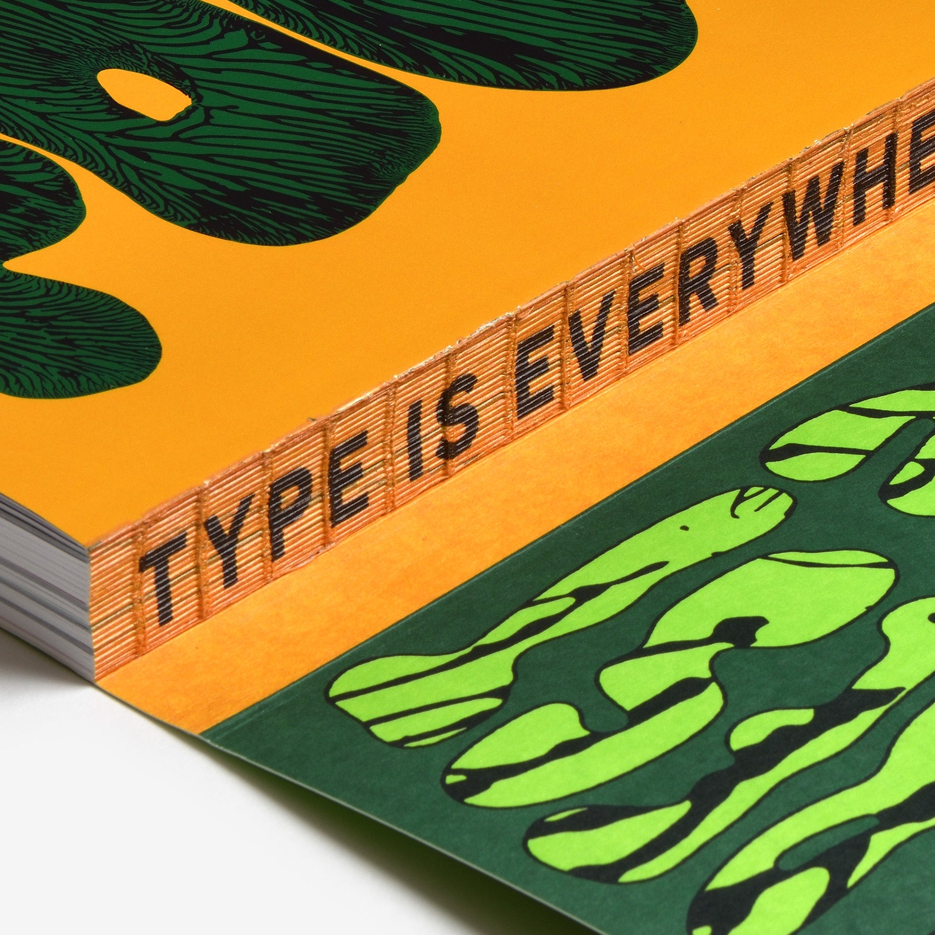 The World's Best Typography: The 44. Annual of the Type Directors Club 2023