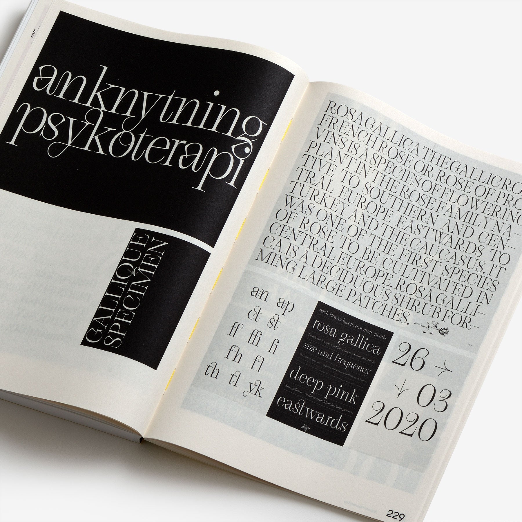 Support Independent Type—the New Culture of Type Specimens